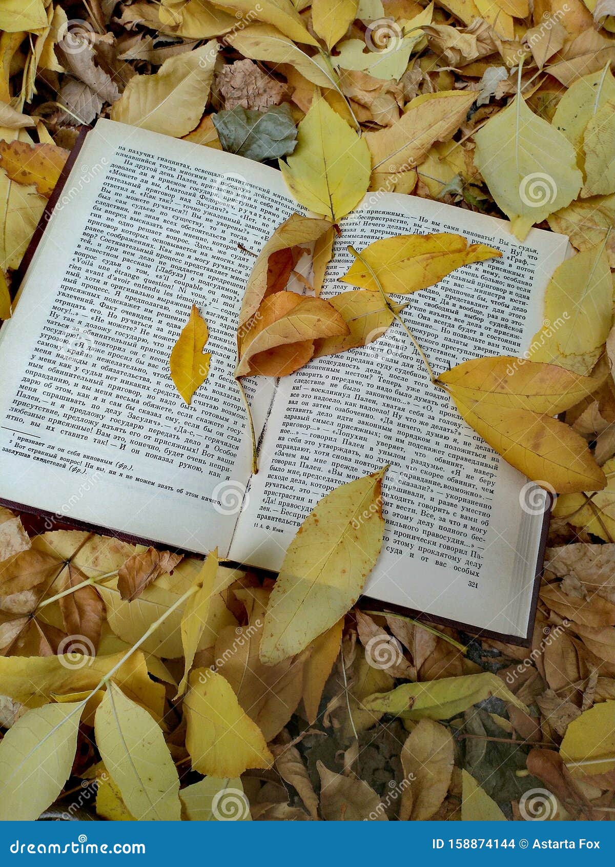 Осенние Фото С Книгой Осенние Фото С Книгой