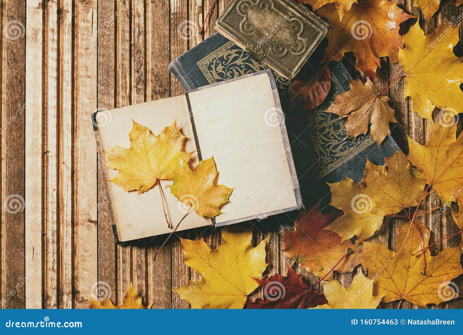 Осенние Фото С Книгой Осенние Фото С Книгой