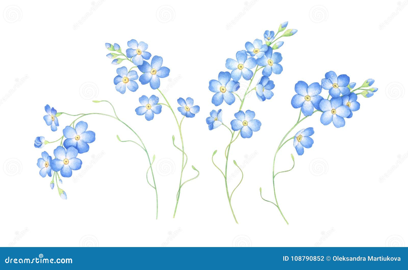 Рисуем незабудки