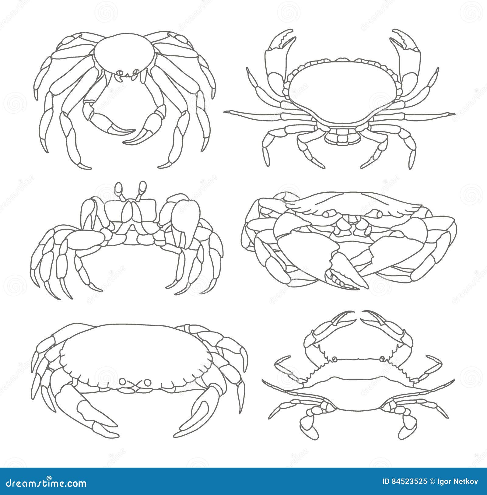 Краб чертеж. Краб стилизация. Краб раскраска. Строение краба. Краб поэтапное рисование.