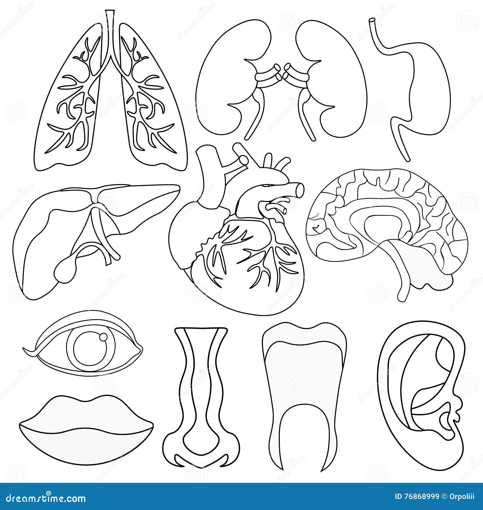 Тело человека раскраска для детей распечатать silhouettes of human body clipart Outline drawings, Female body art, Drawing fem