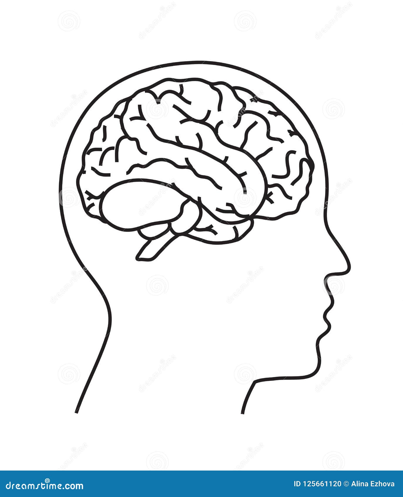 Что у нее в голове шаблон. Мозг в голове. Мозг в голове профиль. Контур мозга человека.
