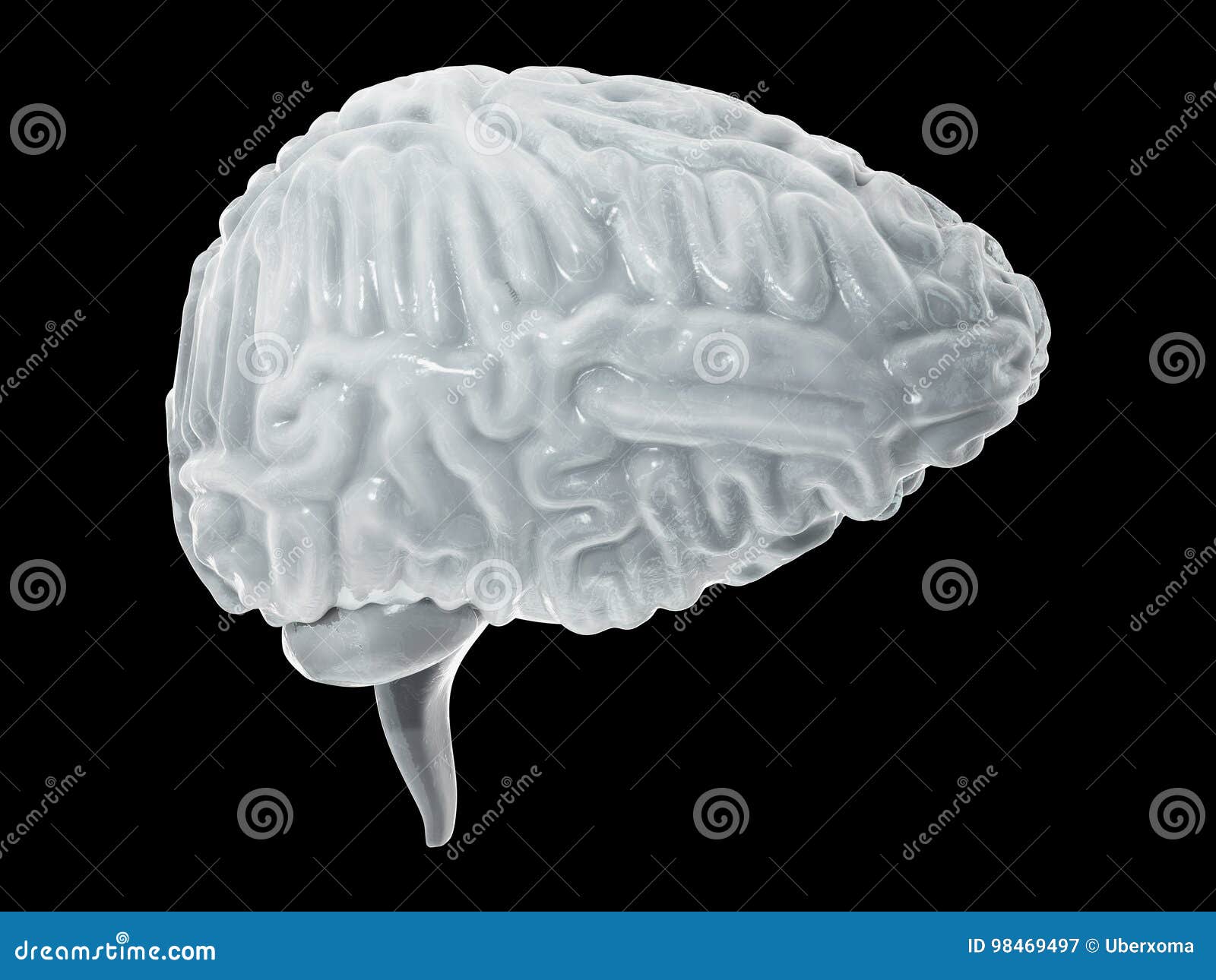 Frozen brain. Frozen brain. Frozen brain. холодный мозг. Frozen brain.