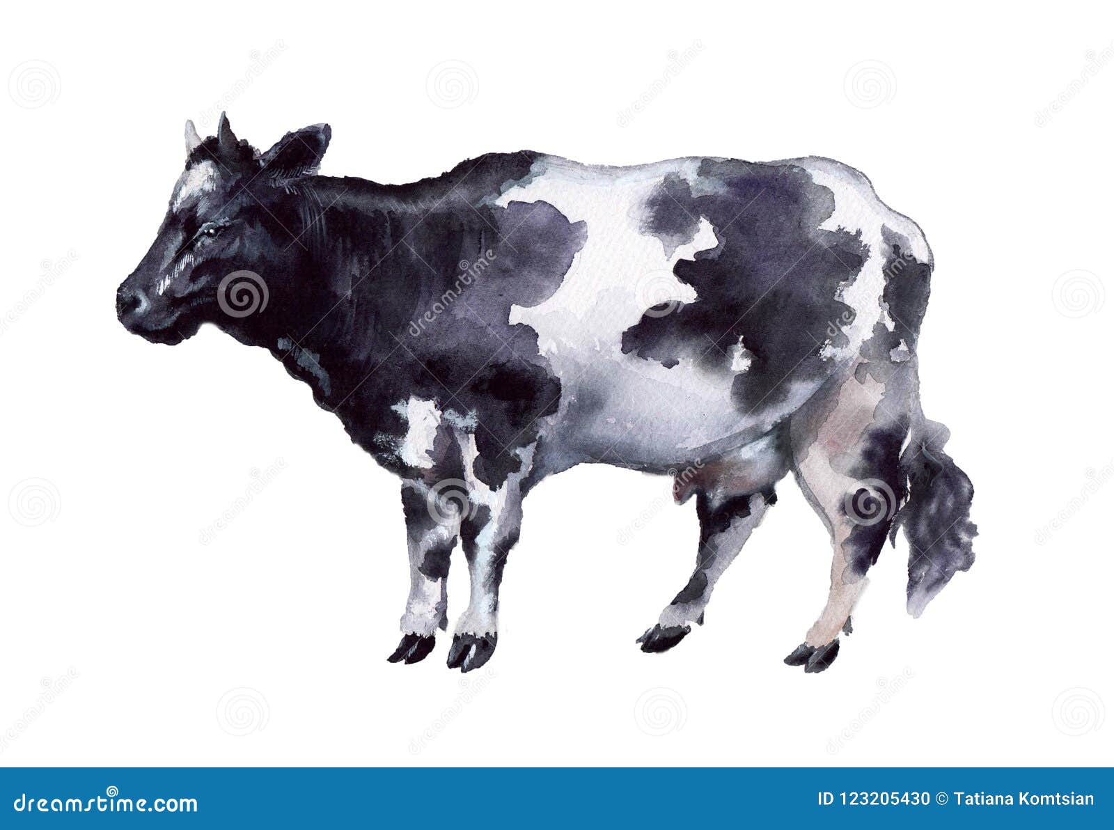 Корова акварели на белой предпосылке Иллюстрация штока - иллюстрации  насчитывающей смотреть, приветствие: 123205430