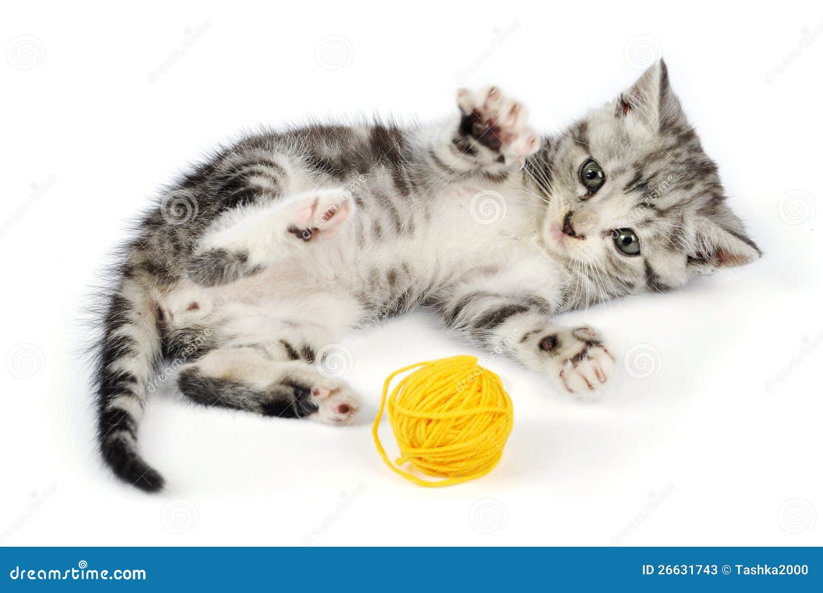 Котенок играет с клубком