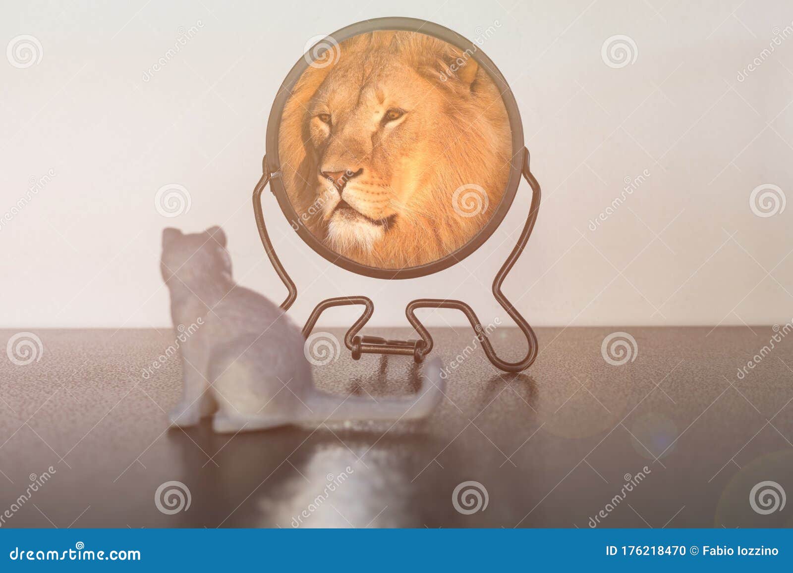 Кот в зеркале лев