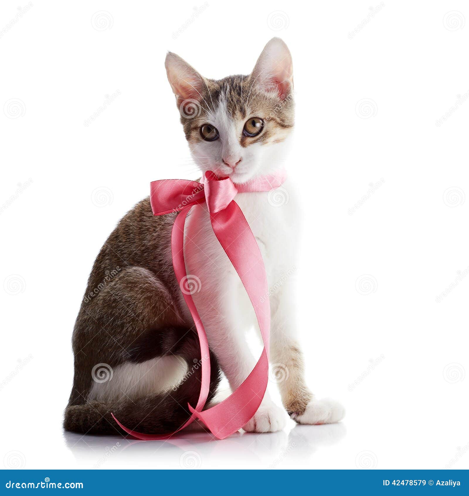 Котенок с бантиком