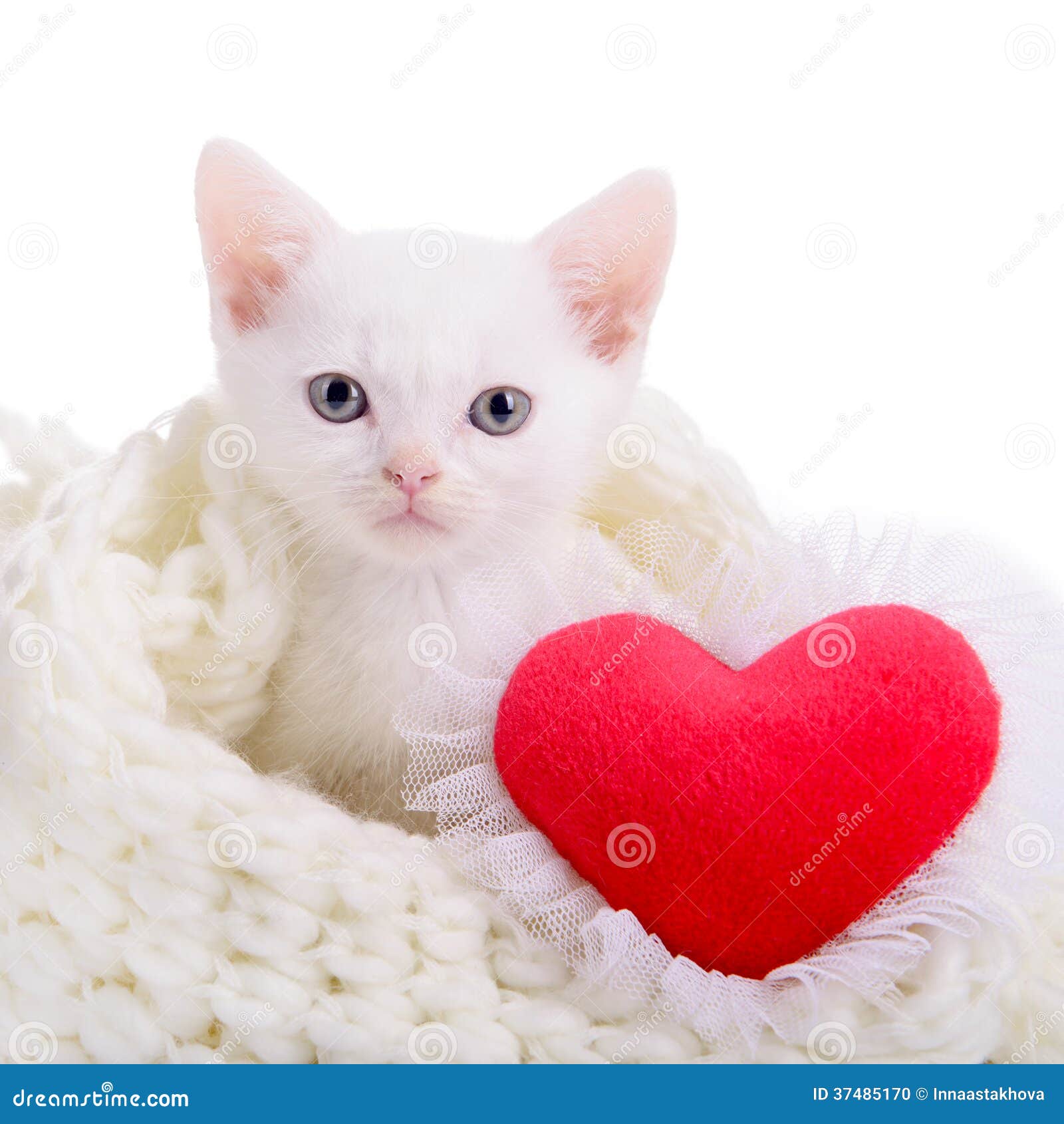 Котик с сердечками