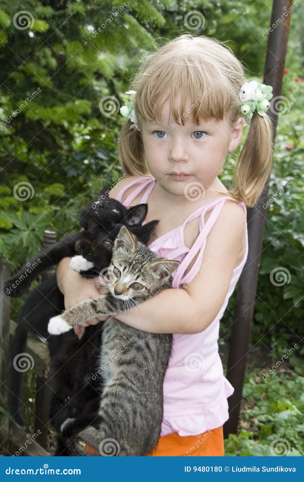 Котенок девочка