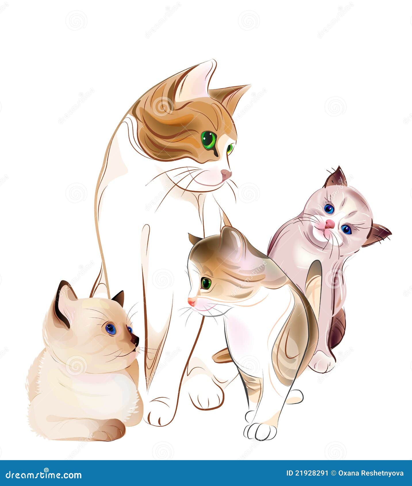 Кошачья семья