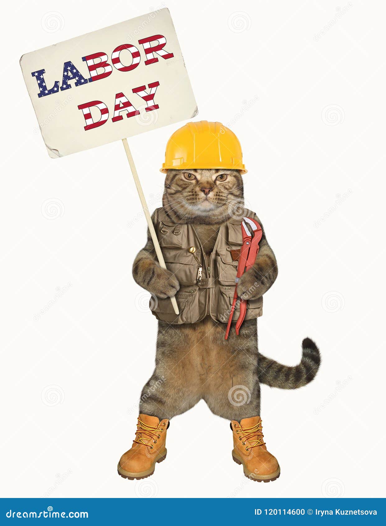 Кот с гаечным ключом