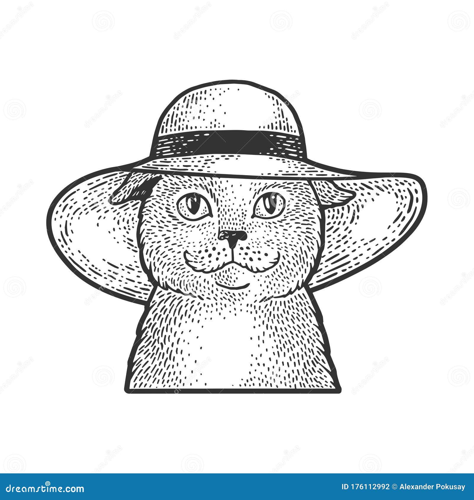Кот под шляпой рисунок