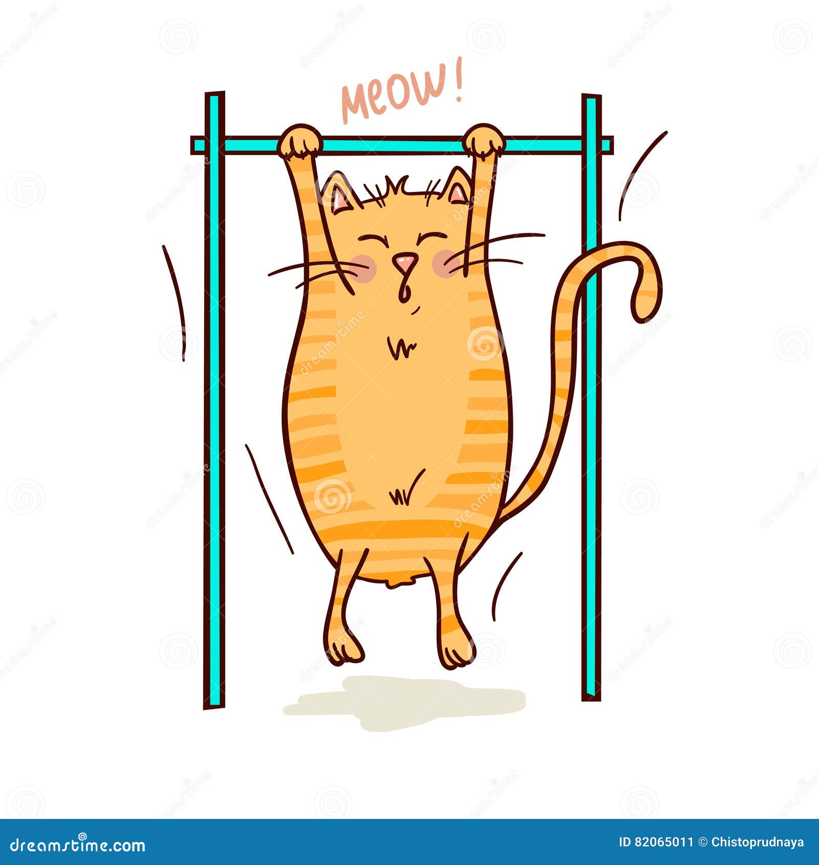 Спортивный котик картинка