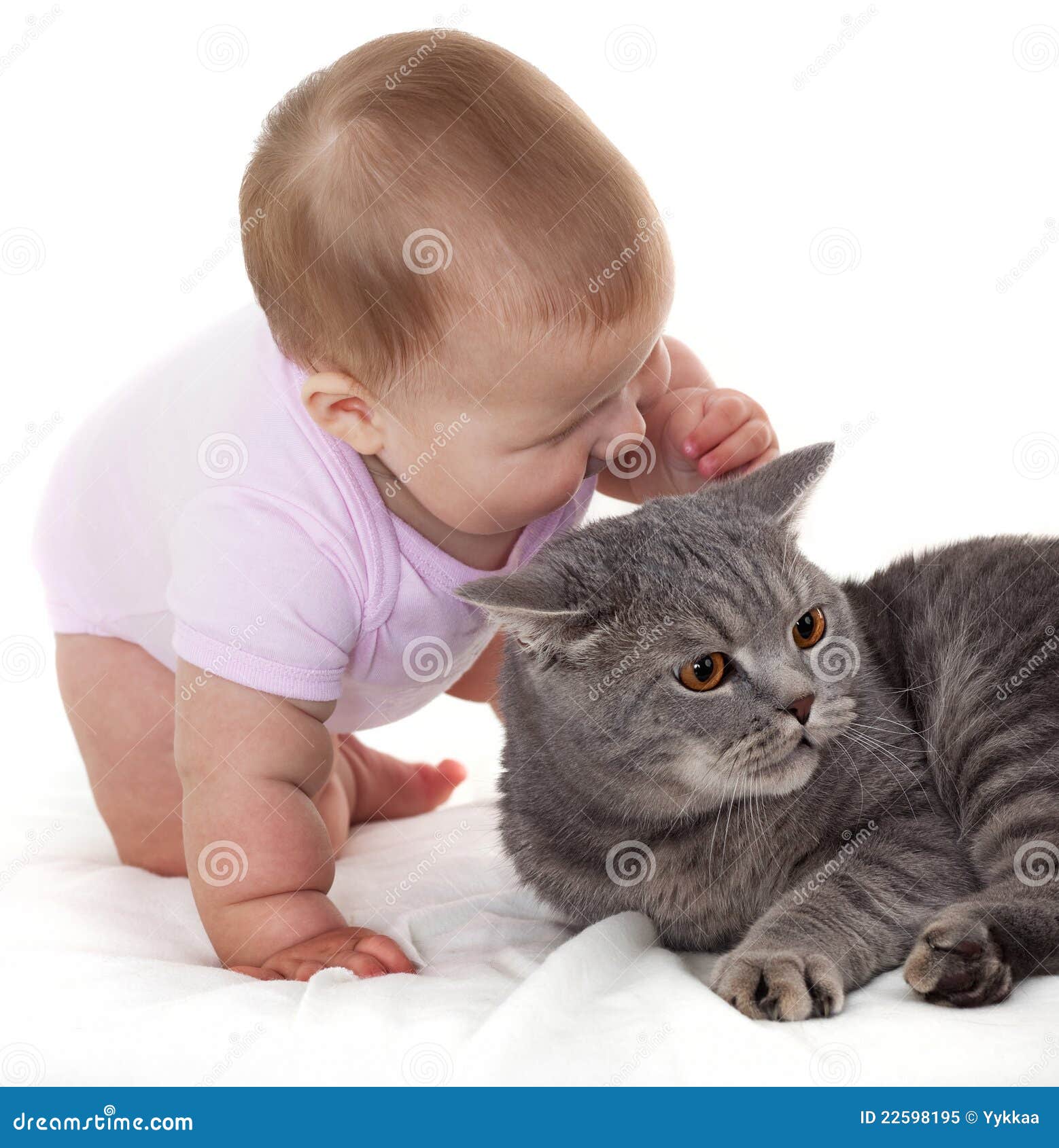 Включи малышам котиков. Кошка для детей. Котёнок-ребёнок. Дети и коты. Маленький котенок для детей.