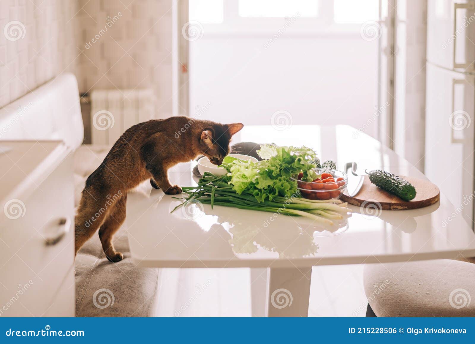 кот на столе ест овощи на кухне. домашние животные питание и пищевые  витамины и концепция здоровья Стоковое Фото - изображение насчитывающей  ингридиент, автомобилем: 215228506