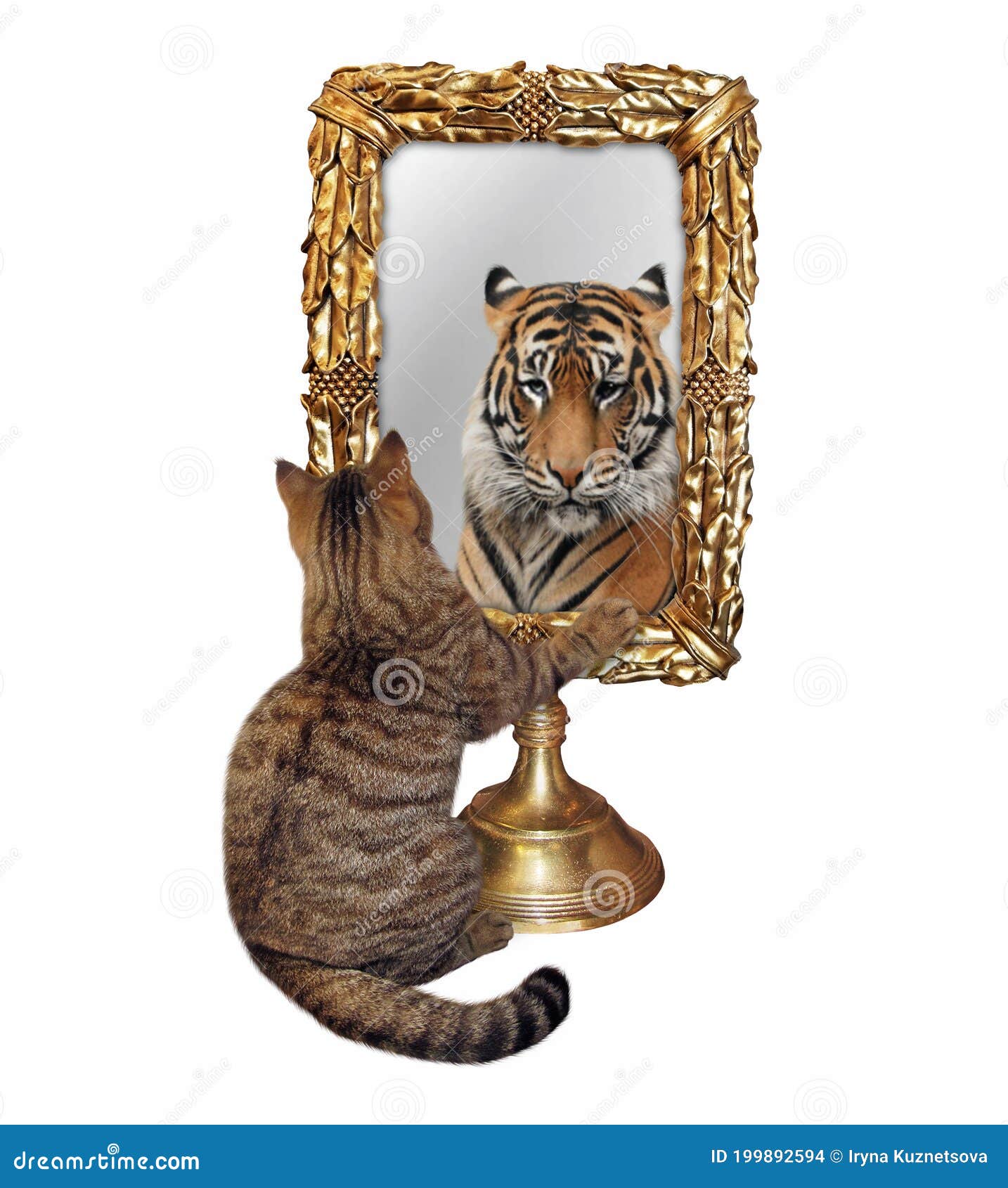 Кот в зеркале лев