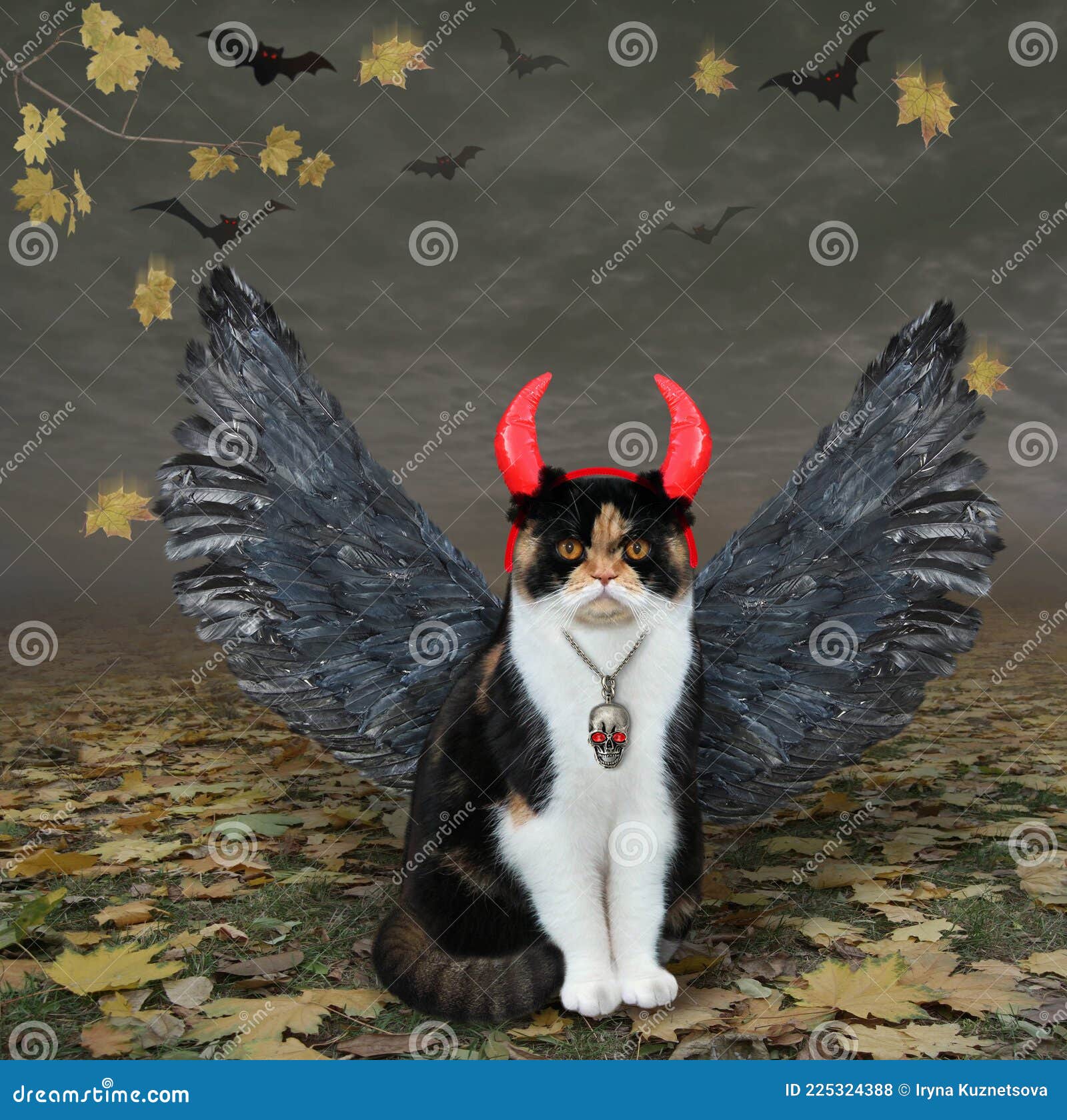 кот, окрашенный в рогатые птичьи крылья в лесу Стоковое Фото - изображение  насчитывающей смешно, взорвать: 225324388