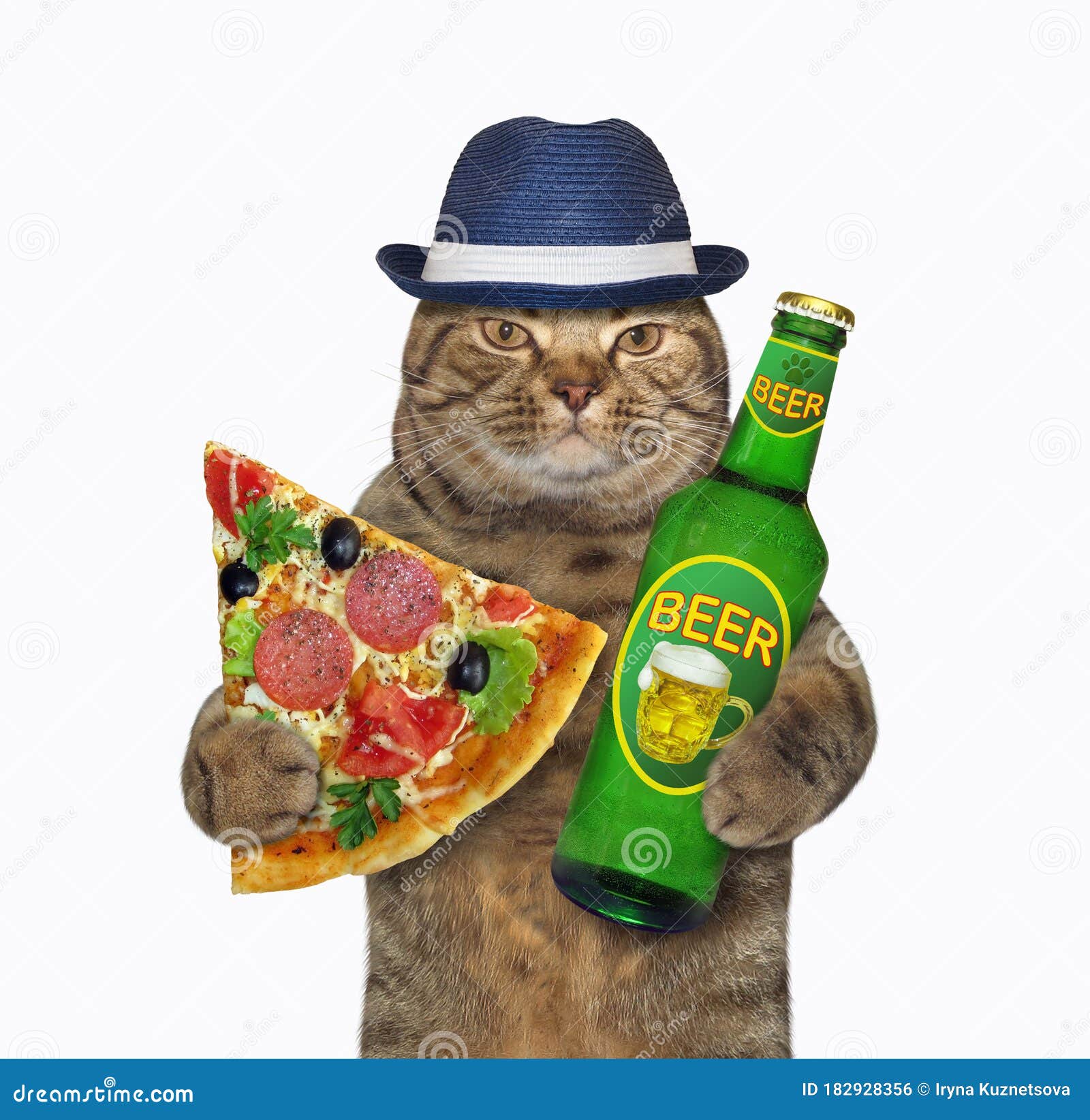 Коты с пивом