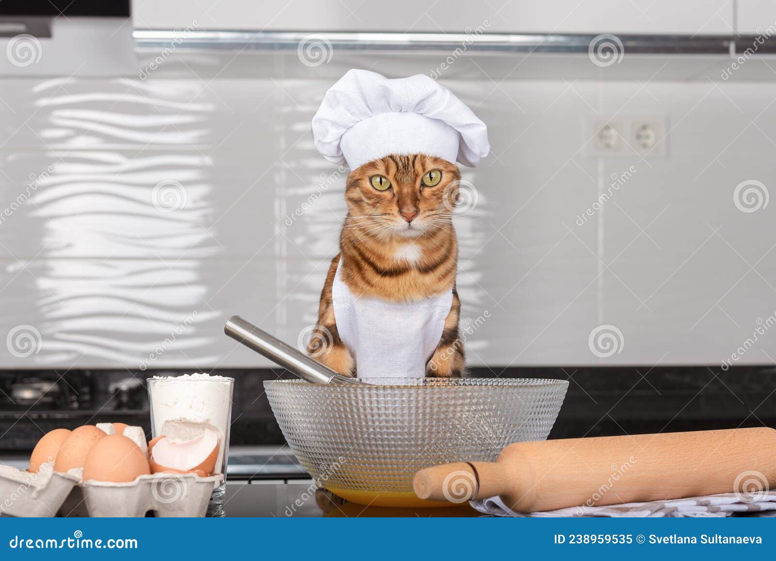 Кот в поварском колпаке