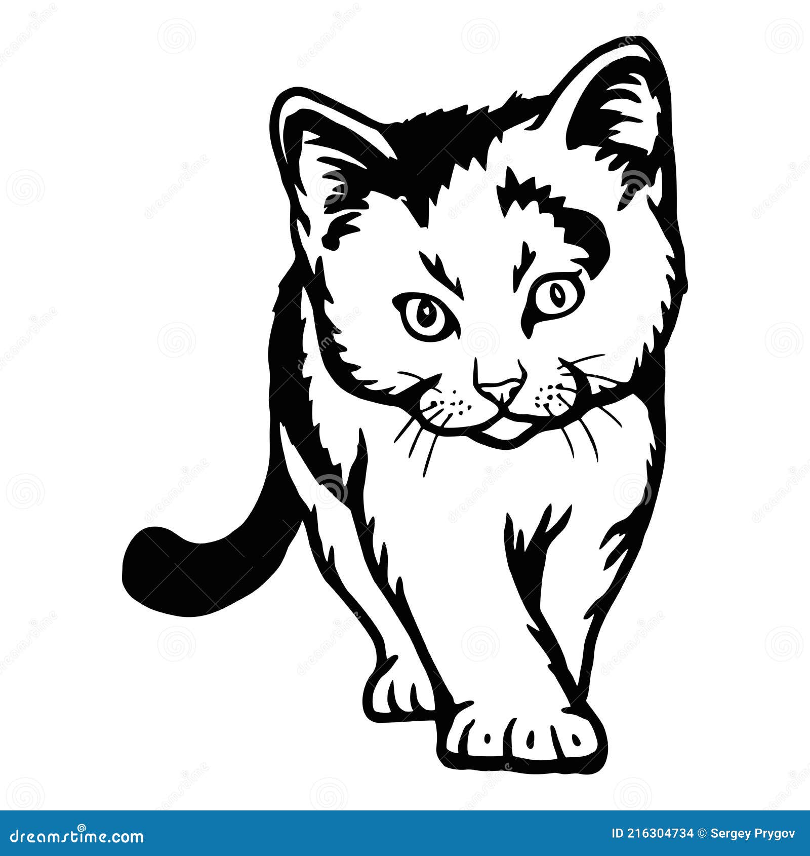 кот поглядывает котенка веселый котенок изолирован на белом векторе  Иллюстрация вектора - иллюстрации насчитывающей юмористика, смотреть:  216304734