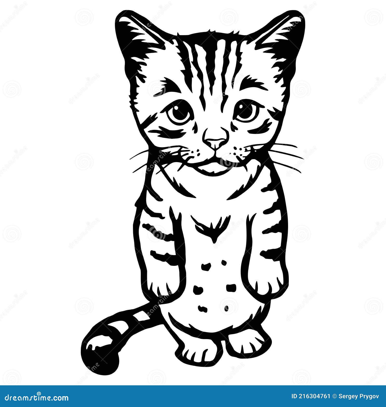 кот поглядывает котенка веселый котенок изолирован на белом векторе  Иллюстрация вектора - иллюстрации насчитывающей рамка, жизнерадостно:  216304761
