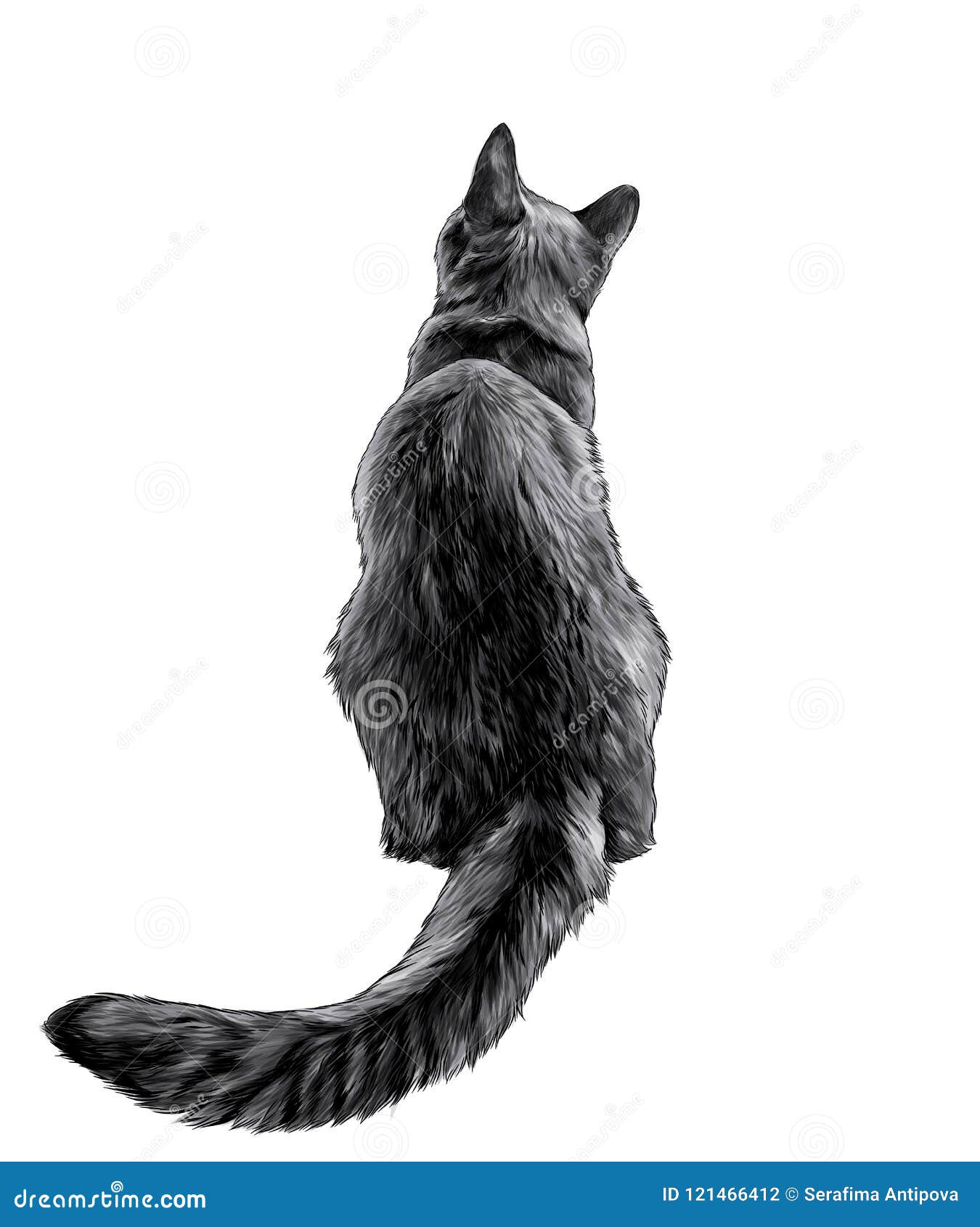 Кот сидит вид сзади