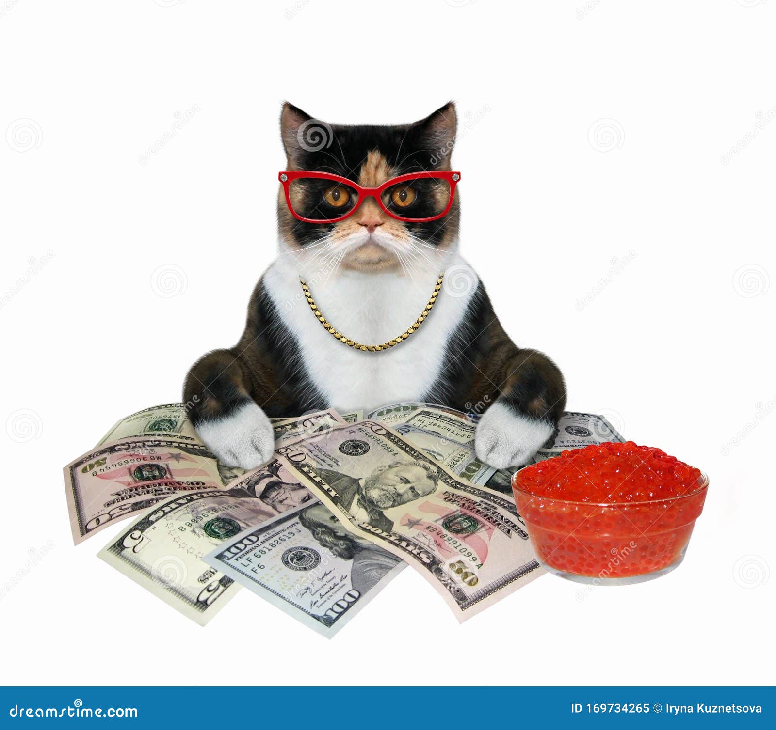 Котик с деньгами