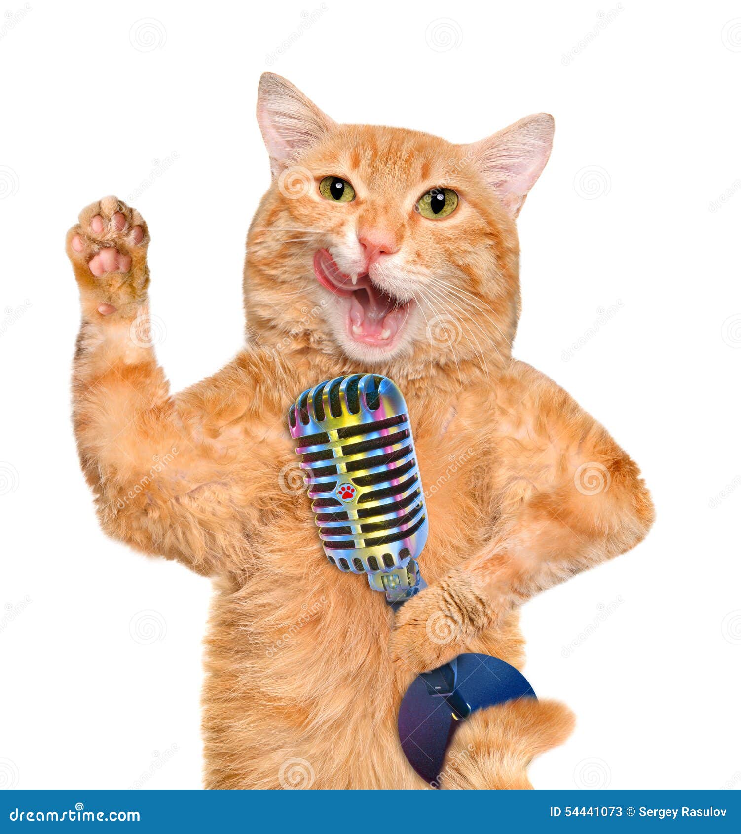 Кот поет в микрофон