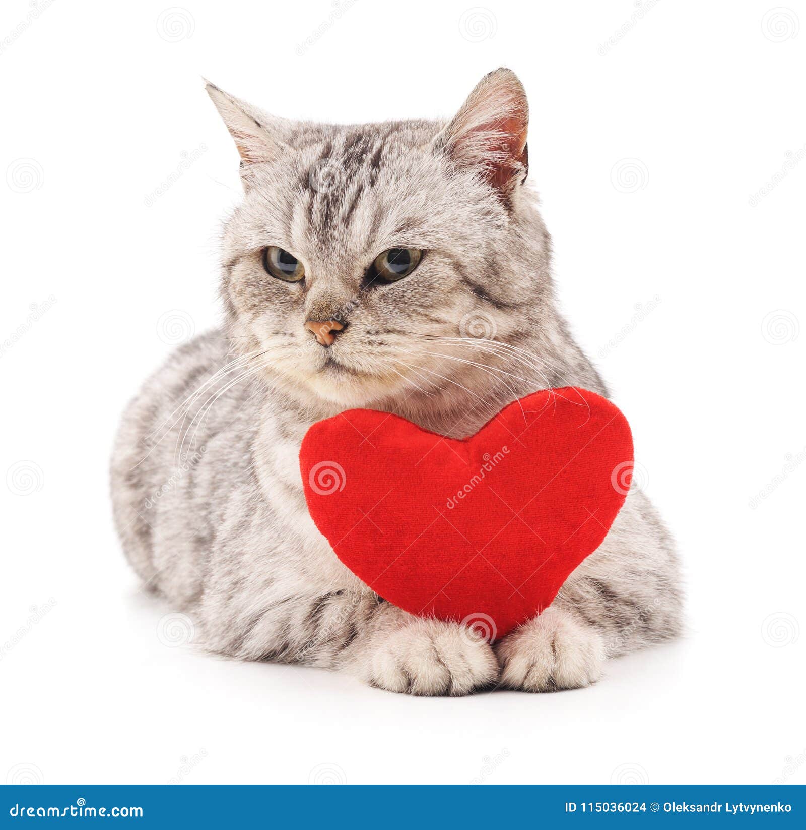 Котик с сердечками