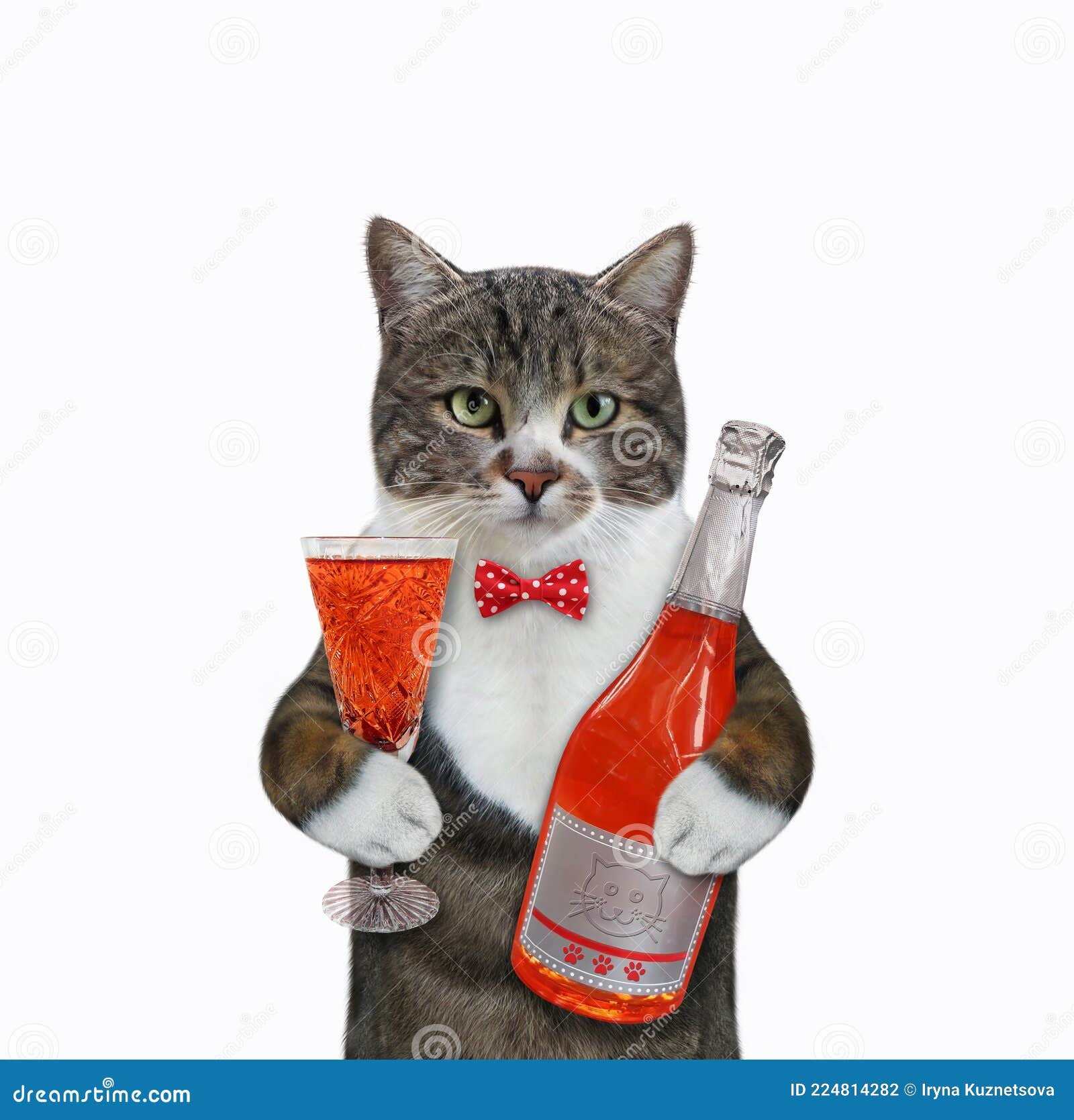 Кот с бутылкой вина