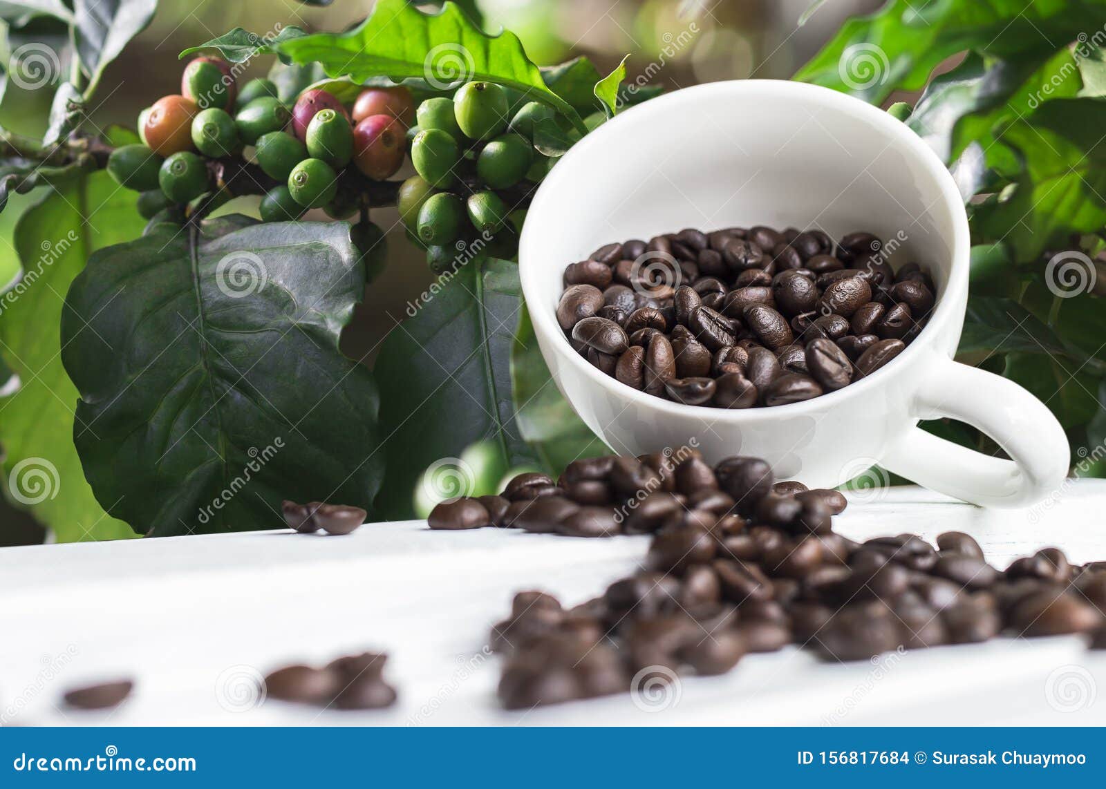 Печенье кофе Люкс Coffee Bean
