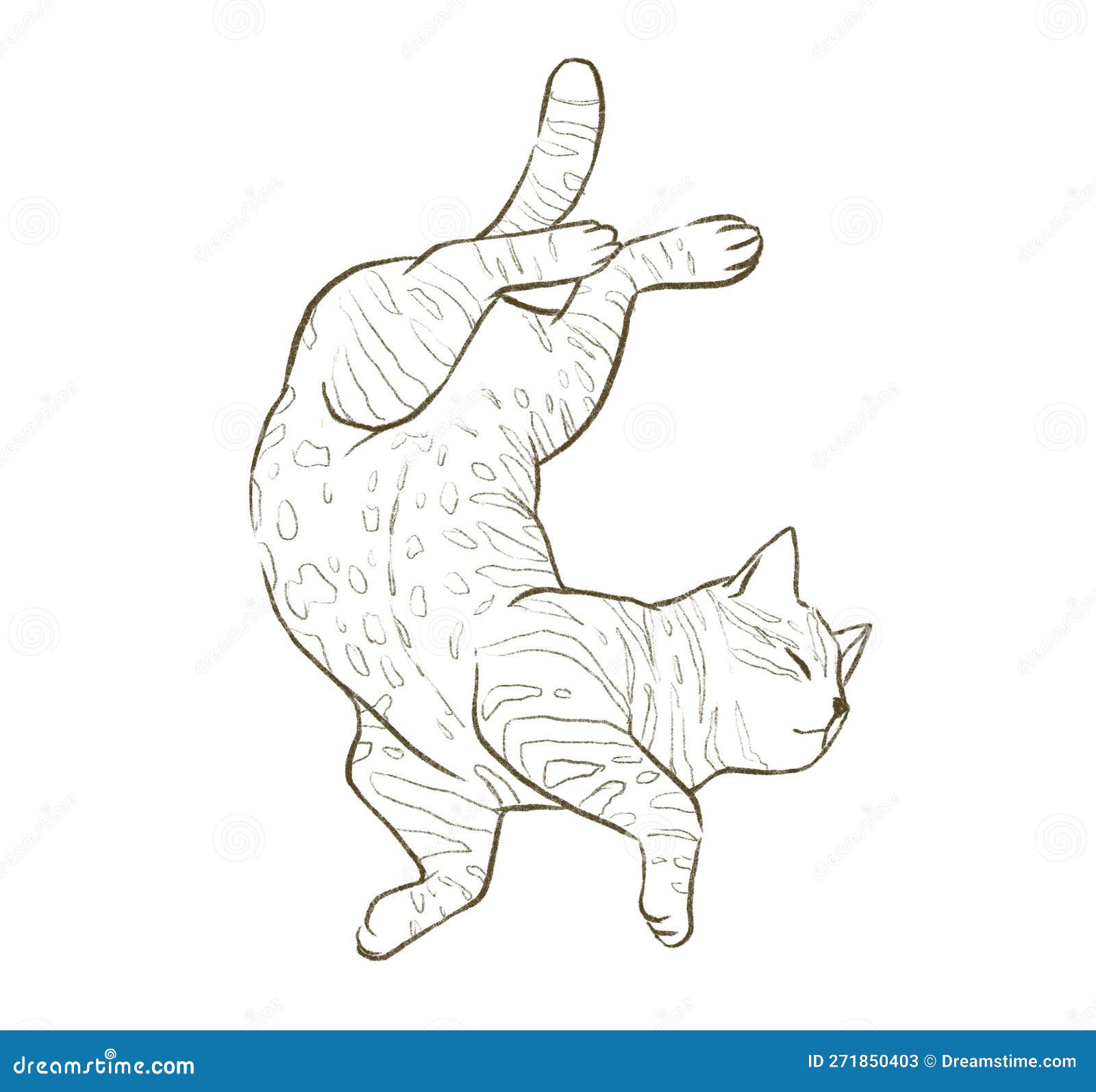 кошка-табби лежит на спине, вскрывая живот Иллюстрация штока - иллюстрации  насчитывающей ангстрома, эскиз: 271850403