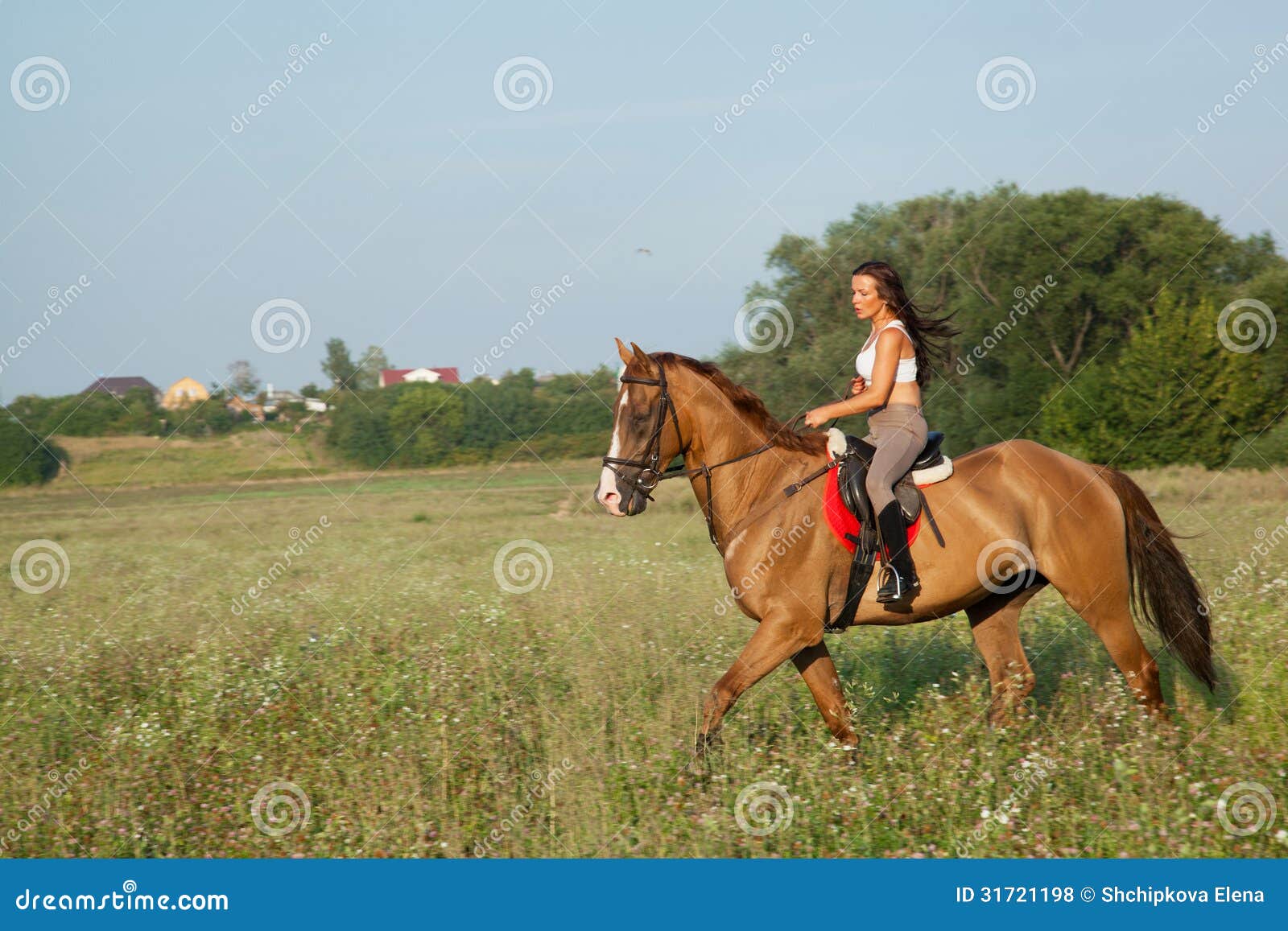 Едем едем на коне песня. Лошадь едет на лошади. Дворянка едет на лошади. Девушка быстро едет на лошади. Рыжая девушка едет на лошади.