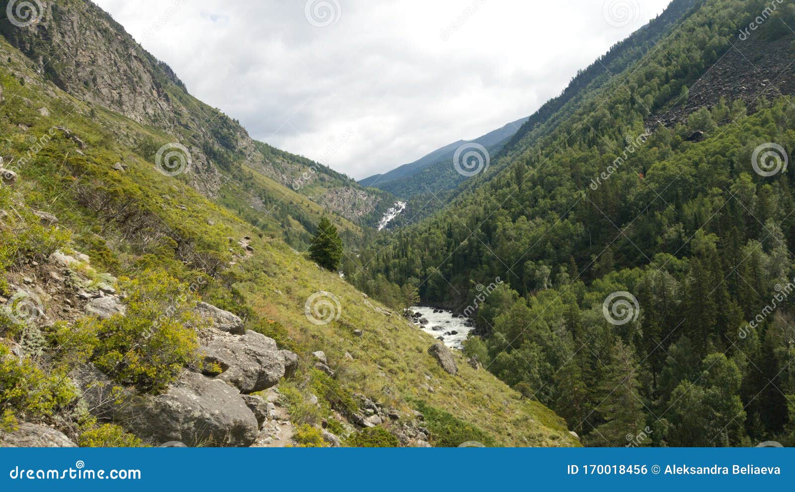 Алтай Фото Красивая Природа