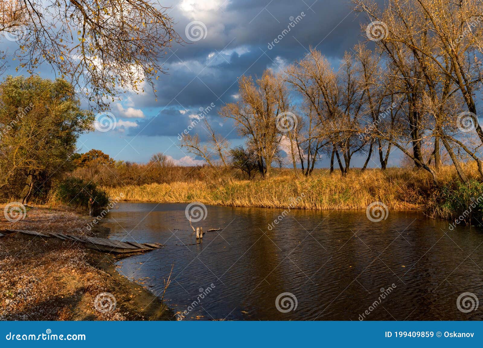 Фото Природы Дона Фото Природы Дона