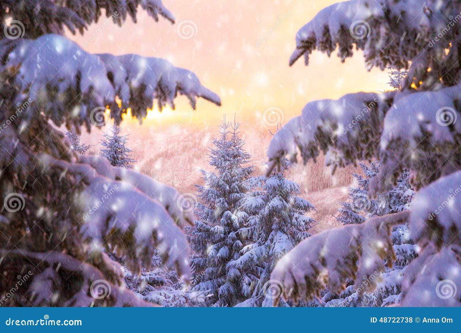 Картинка Зима Природа Фото Картинка Зима Природа Фото