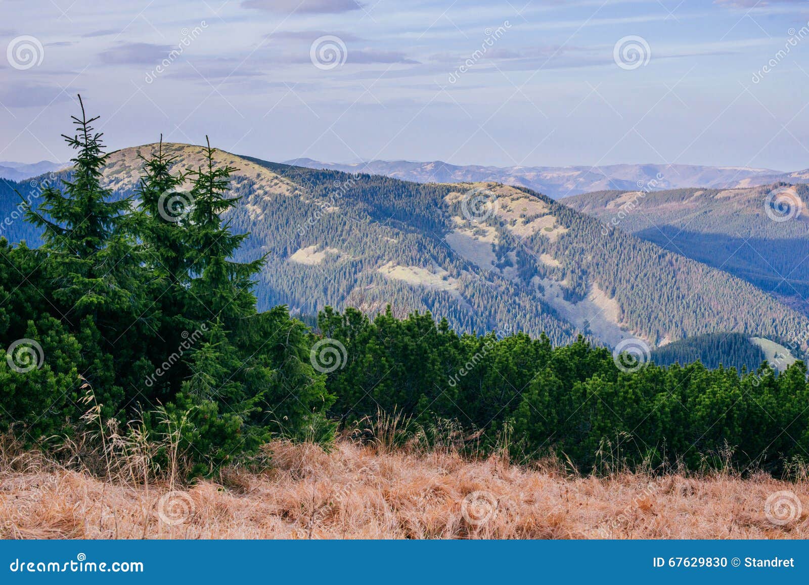 Фото Видами Гор