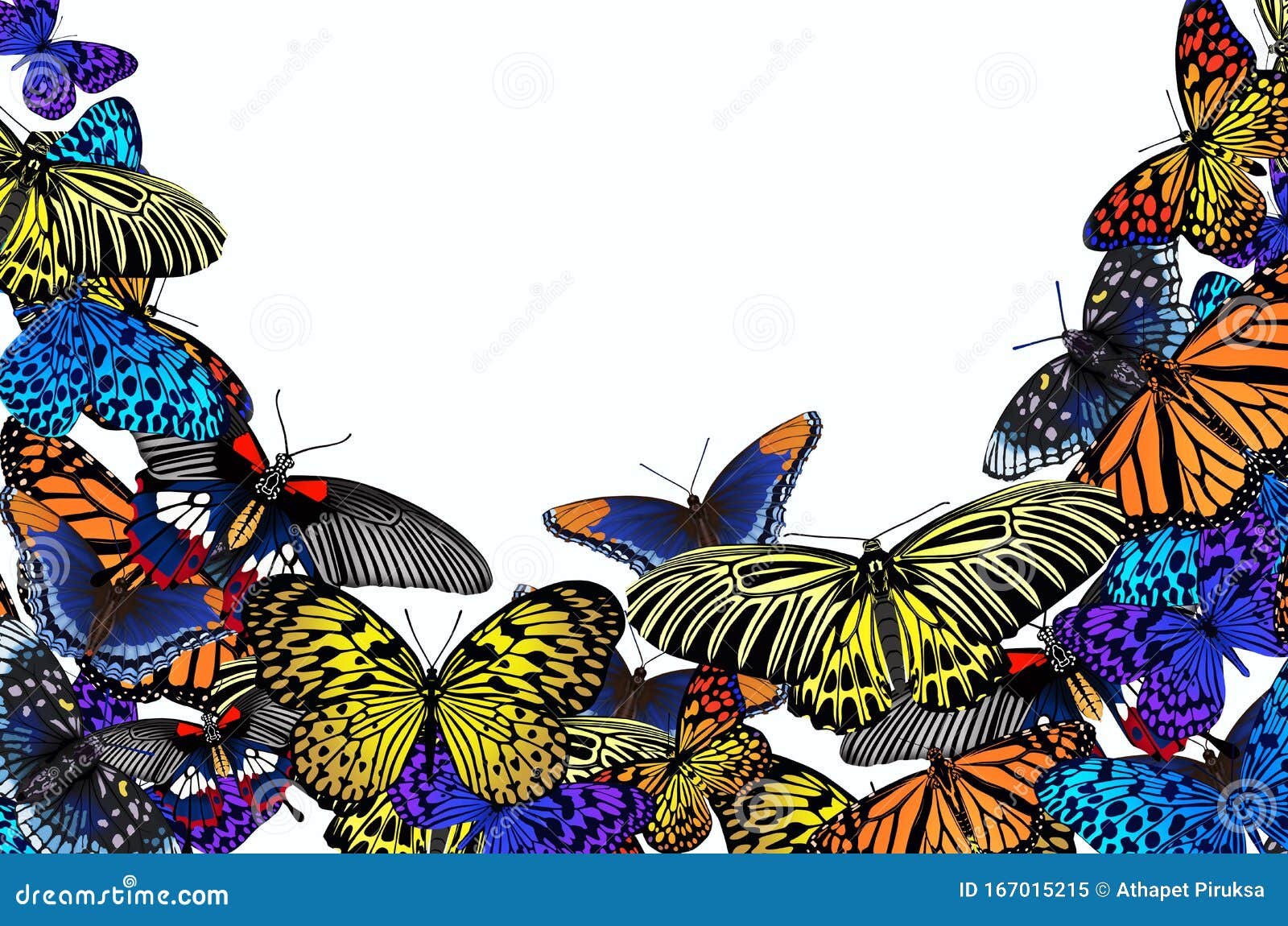 Красивые цветные бабочки на белом фоне Иллюстрация штока - иллюстрации  насчитывающей покрашено, бабочки: 167015215