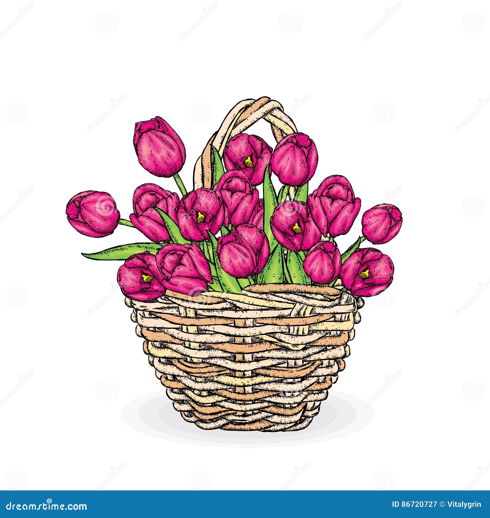 Красивый букет тюльпанов в плетеной корзине также вектор иллюстрации  притяжки Corel Праздник весны Открытка начиная с 8-ого марта Иллюстрация  вектора - иллюстрации насчитывающей марш, листья: 86720727