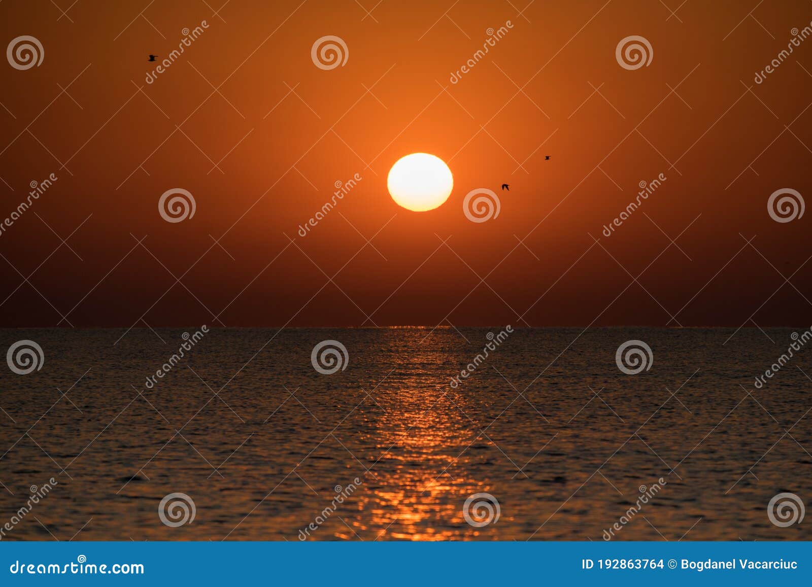 Море Солнце Фото Красивые