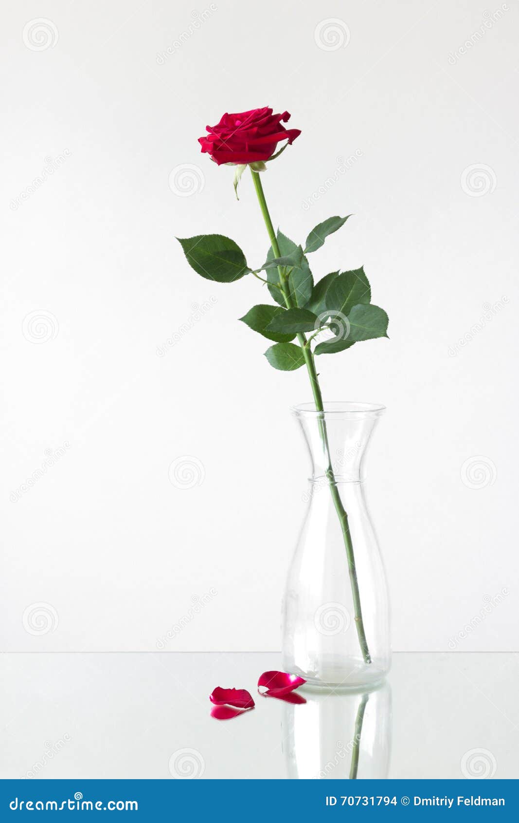 Ваза для высоких роз. Розы в вазе неживые. Розы в вазе в крови Минимализм.