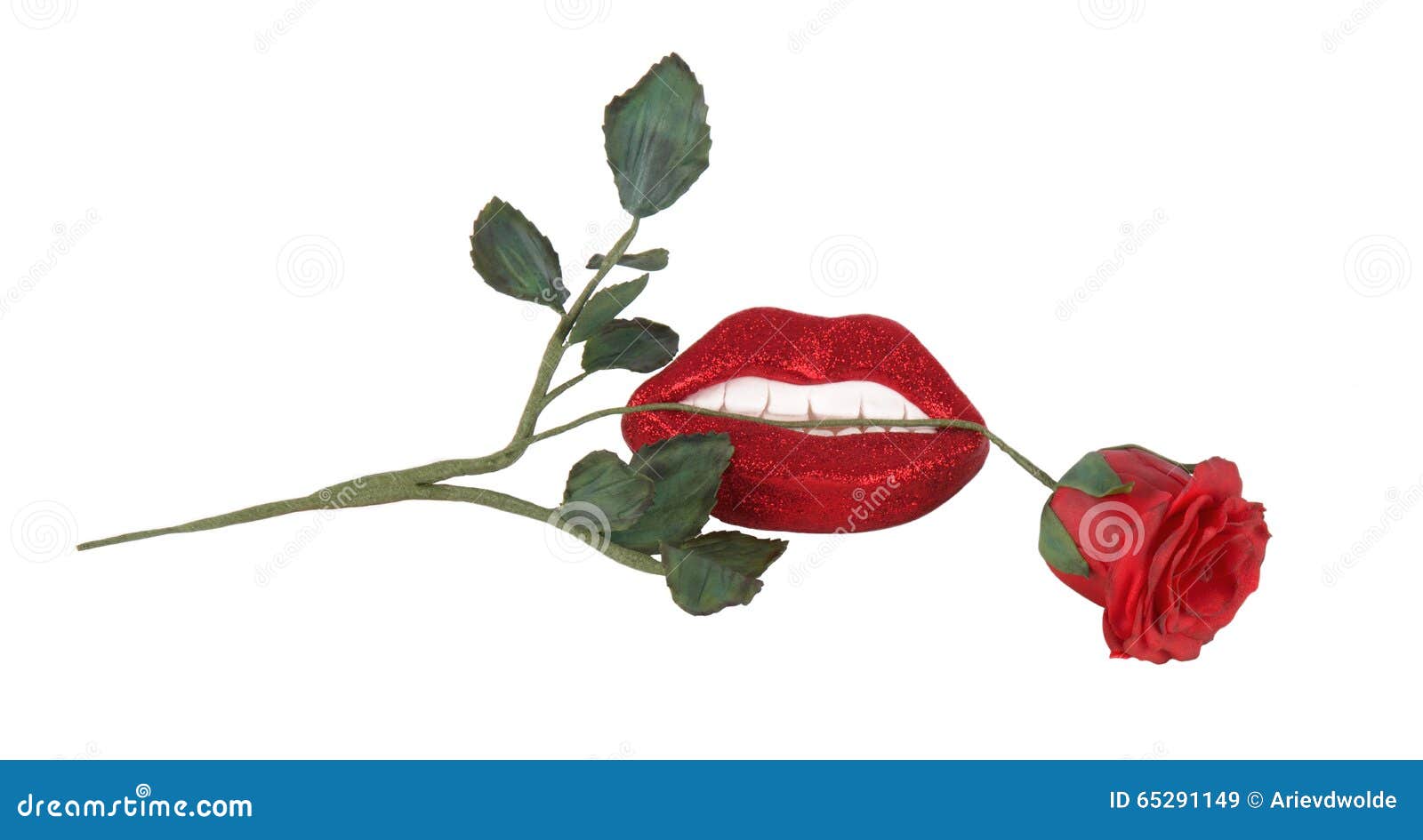 Красная роза между зубами и губами Стоковое Изображение - изображение  насчитывающей яркое, стержень: 65291149