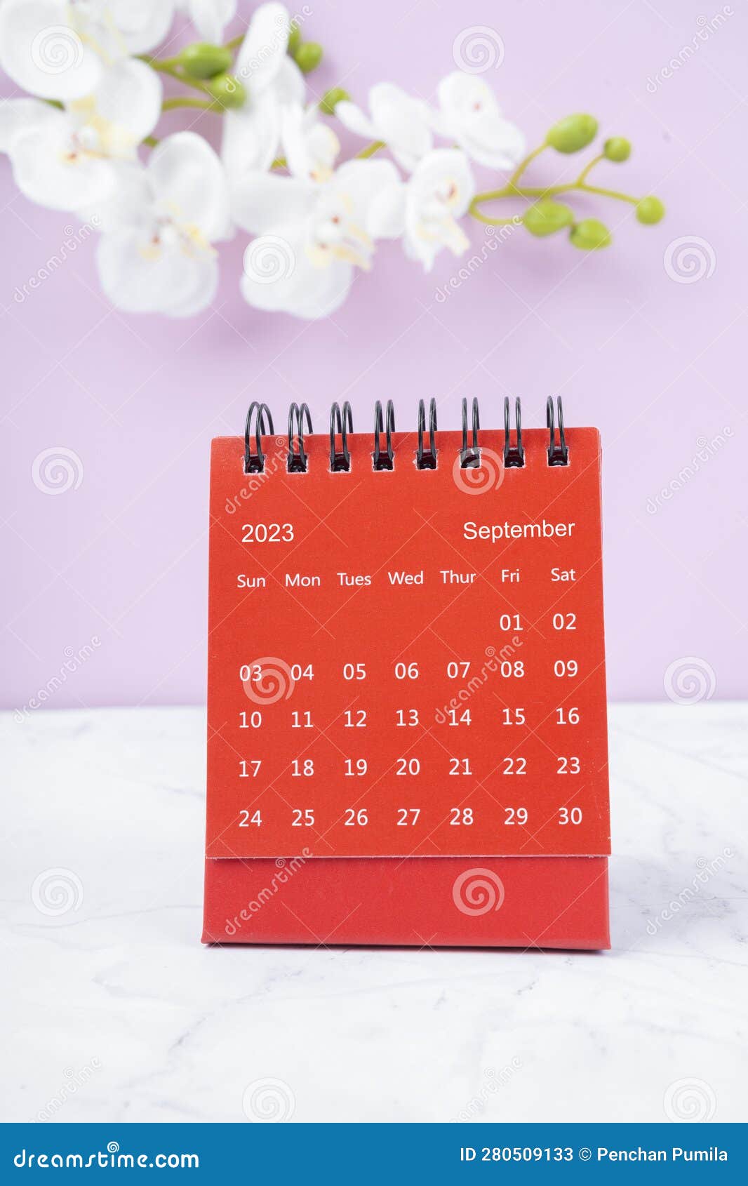 Красный день календаря 23 года