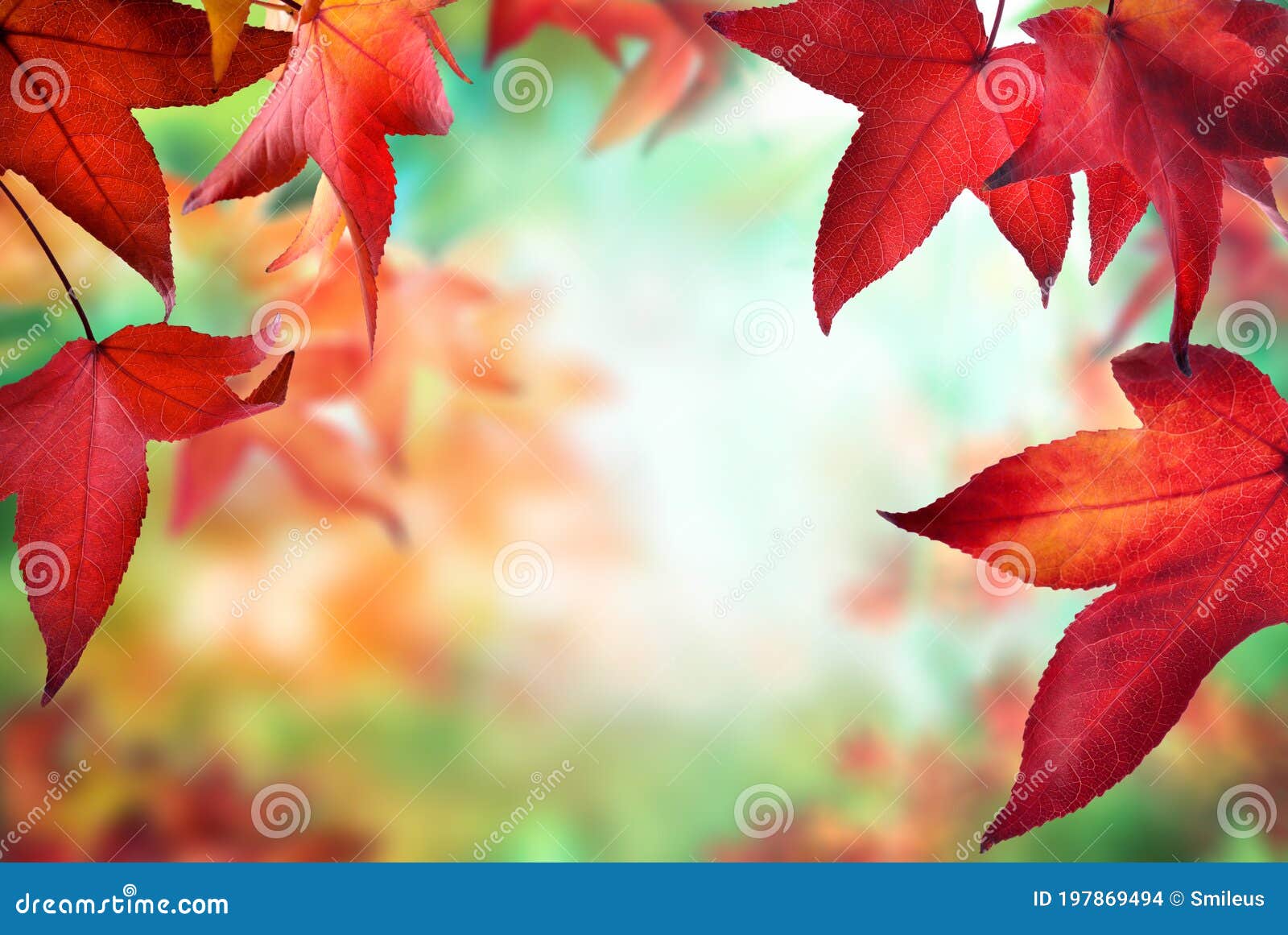 Осенние Картинки Фото Природы