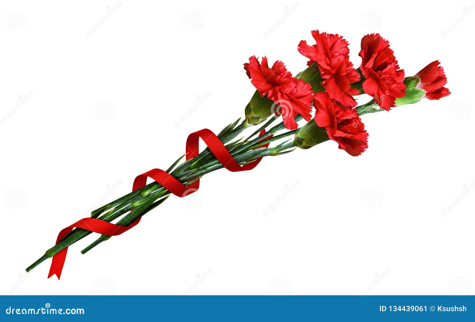 Две гвоздики png