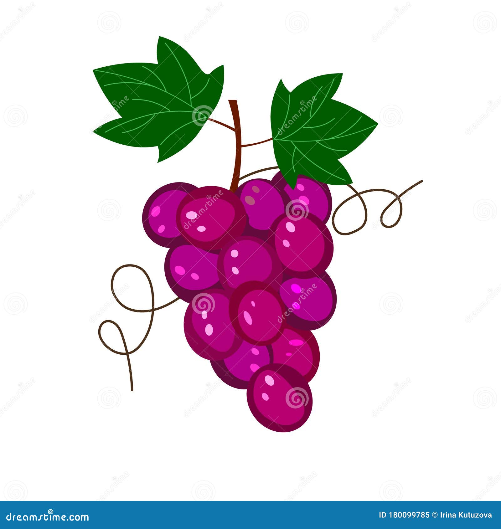 Красный виноград Рисунок о еде Свежие фрукты Иллюстрация штока -  иллюстрации насчитывающей сад, зрело: 180099785