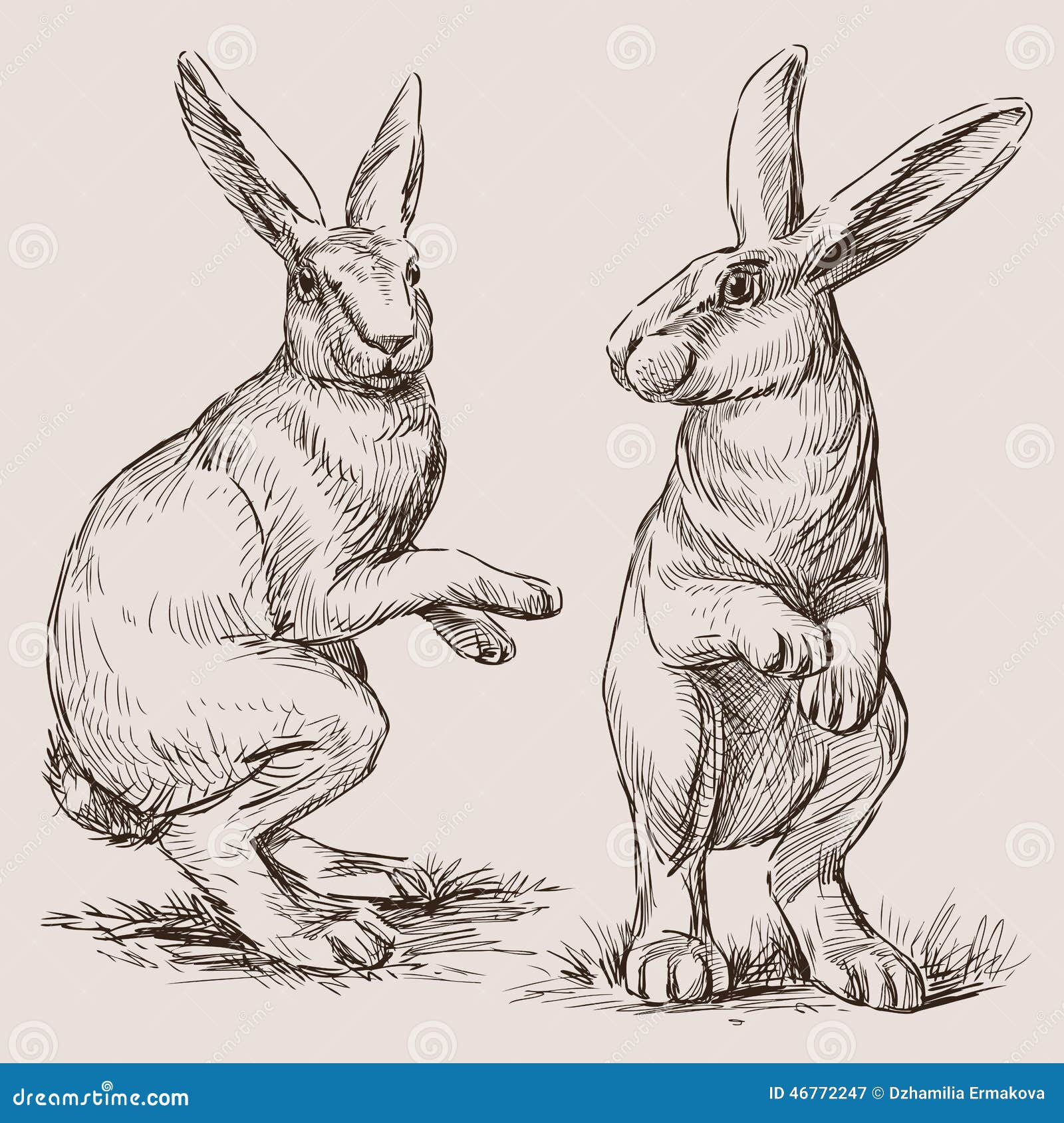 На рисунке изображены горностаевые кролики. Кролик в профиль рисунок. Рисунок кролика в профиль красивый. Стилизованный кролик. Тату кролик чб.