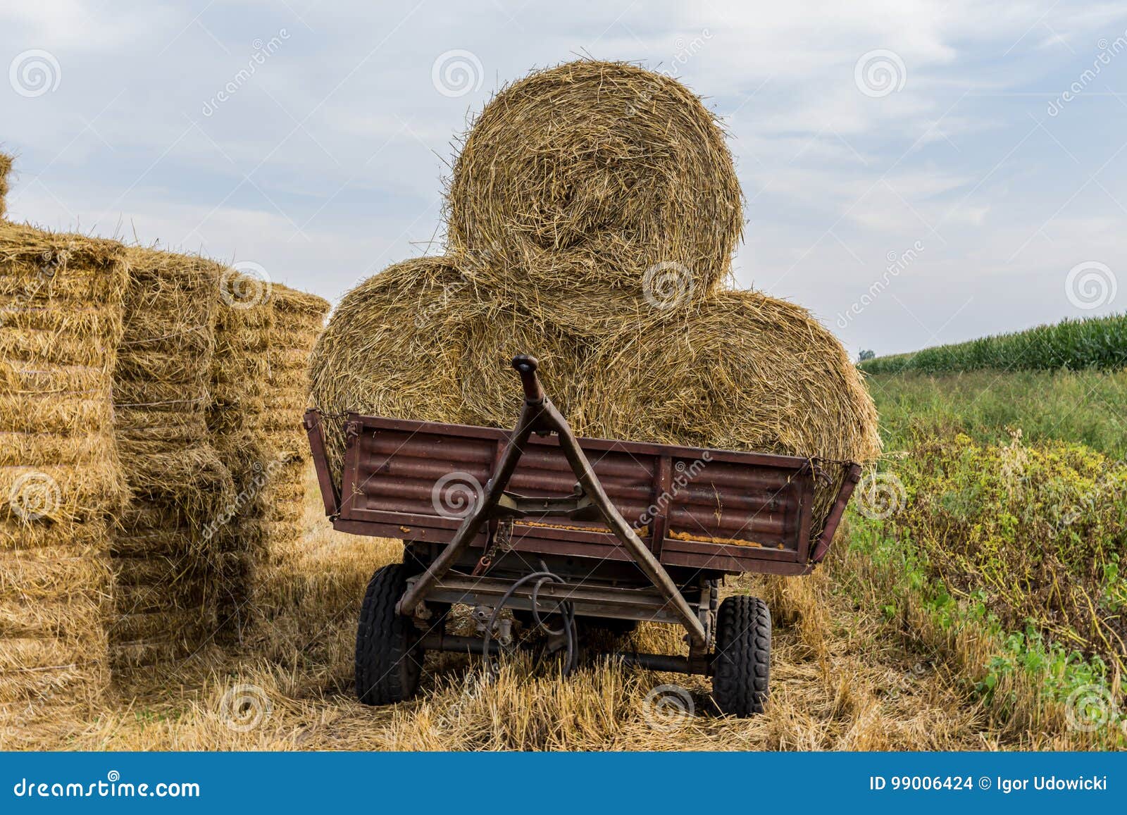 С сеном