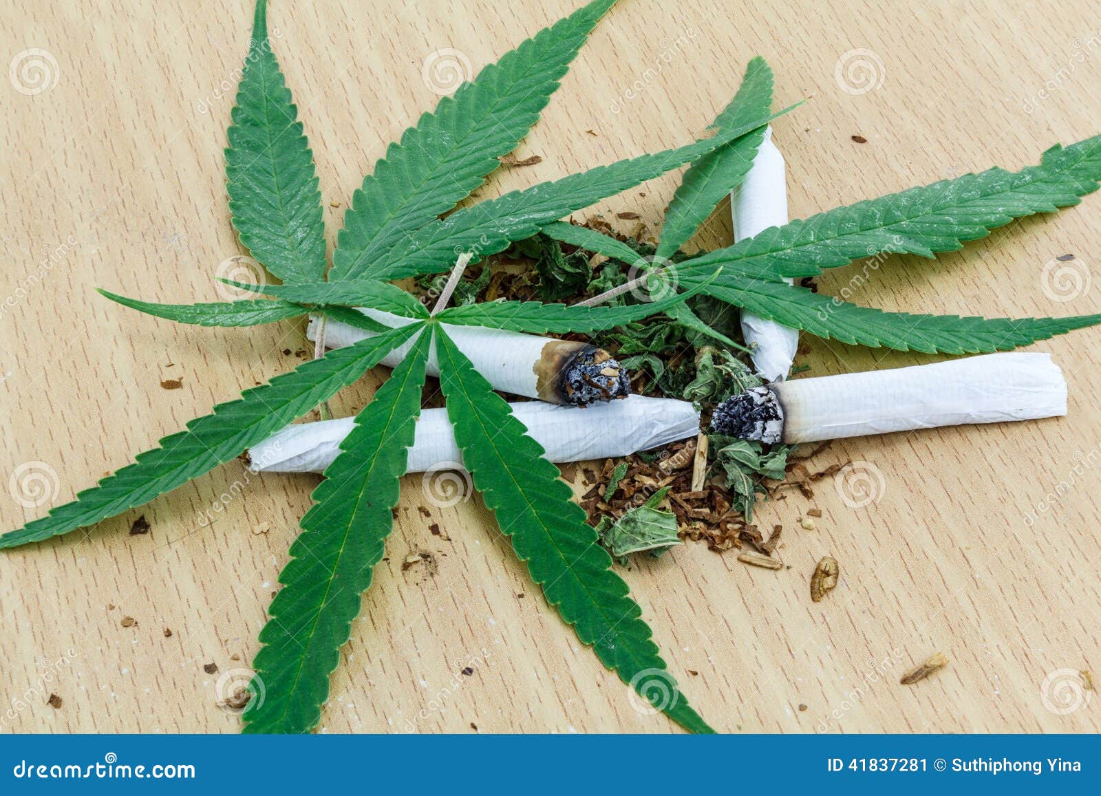 марихуана план фото