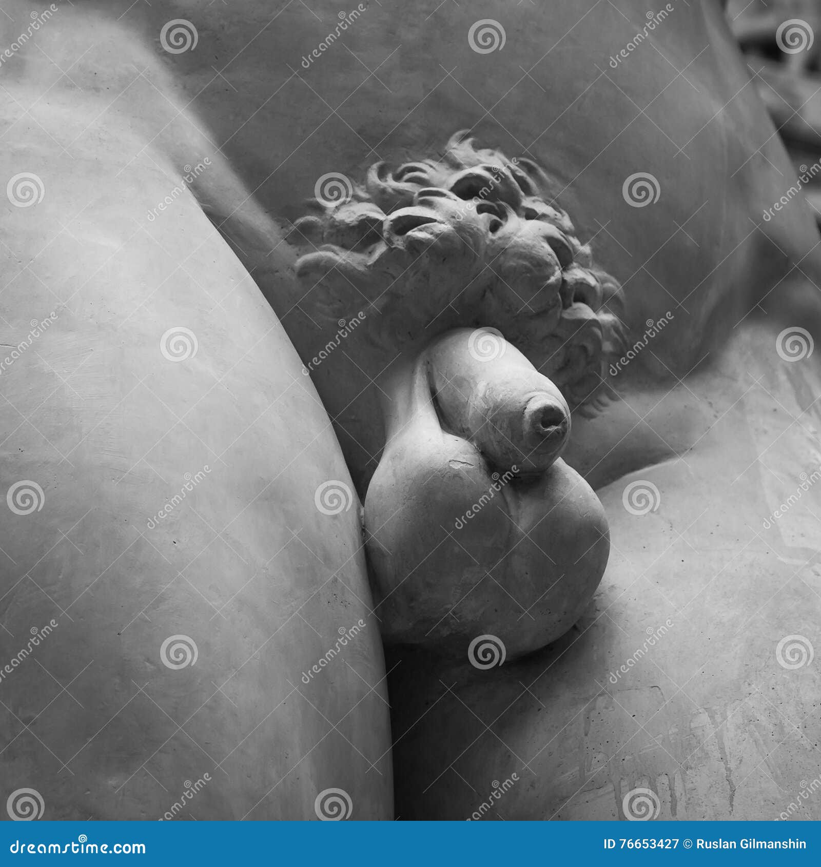 Фото Пенисов Крупный План Фото Пенисов Крупный План